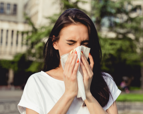 Las Alergias Primaverales: ¿Cómo Puedo Prevenirlas Y Tratarlas? 